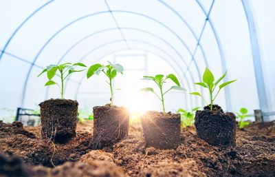 Local Greenhouse Installation in Napa, CA