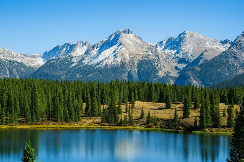 Local Barn Siding Repair in Lafayette, CO
