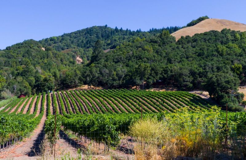 Local Greenhouse Installation in Santa Rosa, CA