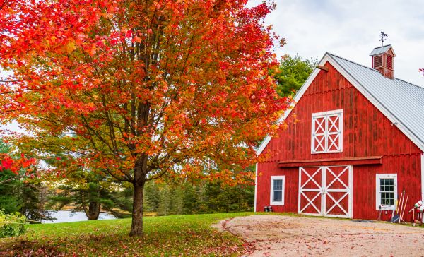 Red Barn Construction Service