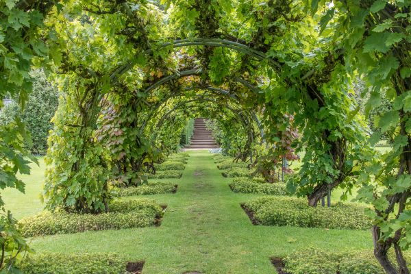 Grapevine Arch Installation Service