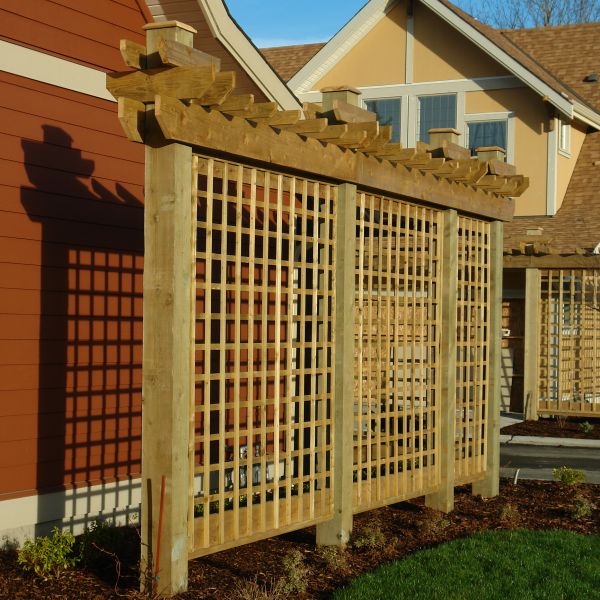 Trellis Construction Service