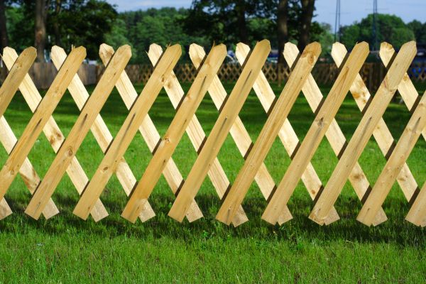 Trellis Fence Construction Service