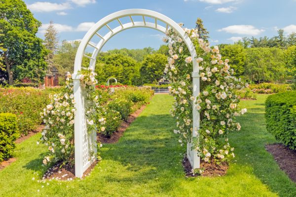 Arched Trellis Installation Service
