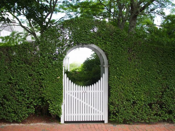 Arbor Gate Assembly