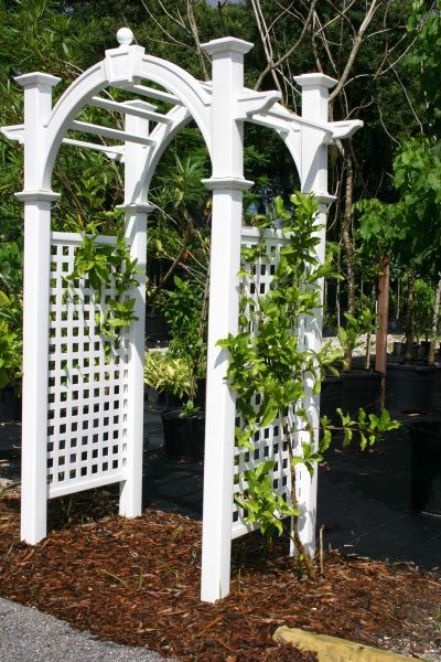 Outdoor Arbor Construction