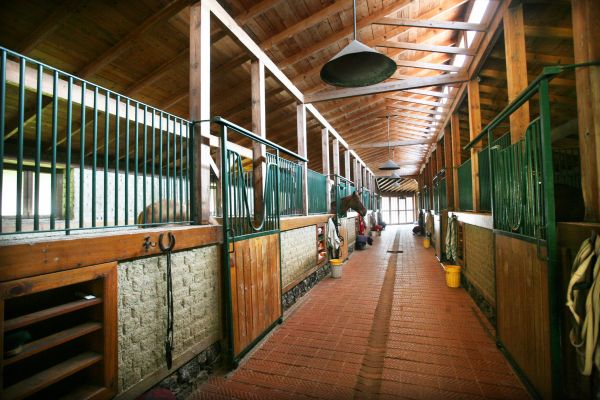 Horse Shelter Construction Service